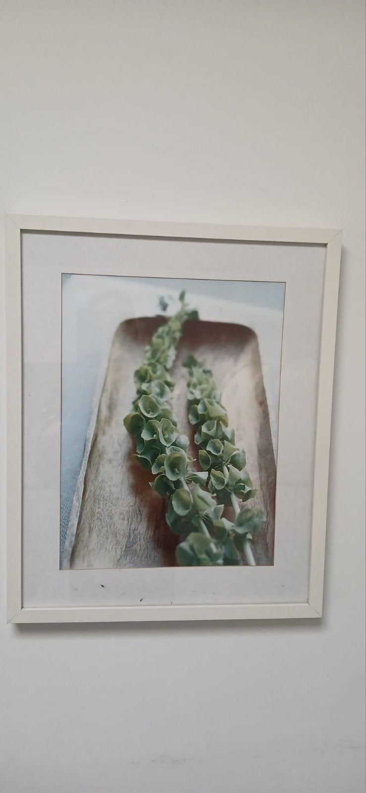 Drie schilderijen 'bloemen' wit, Ophalen