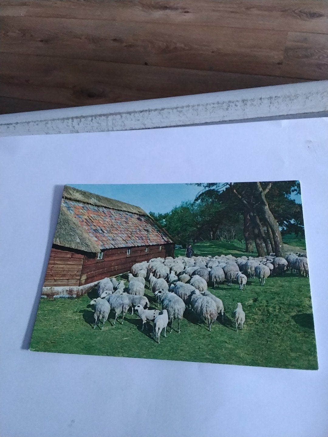 Oude ansichtkaart met schapen en boerderij, Ophalen of Verzenden, 1960 tot 1980, Gelopen