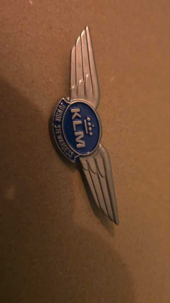 Speldje KLM, Verzamelen, Speldjes, Pins en Buttons, Ophalen of Verzenden, Gebruikt, Overige onderwerpen