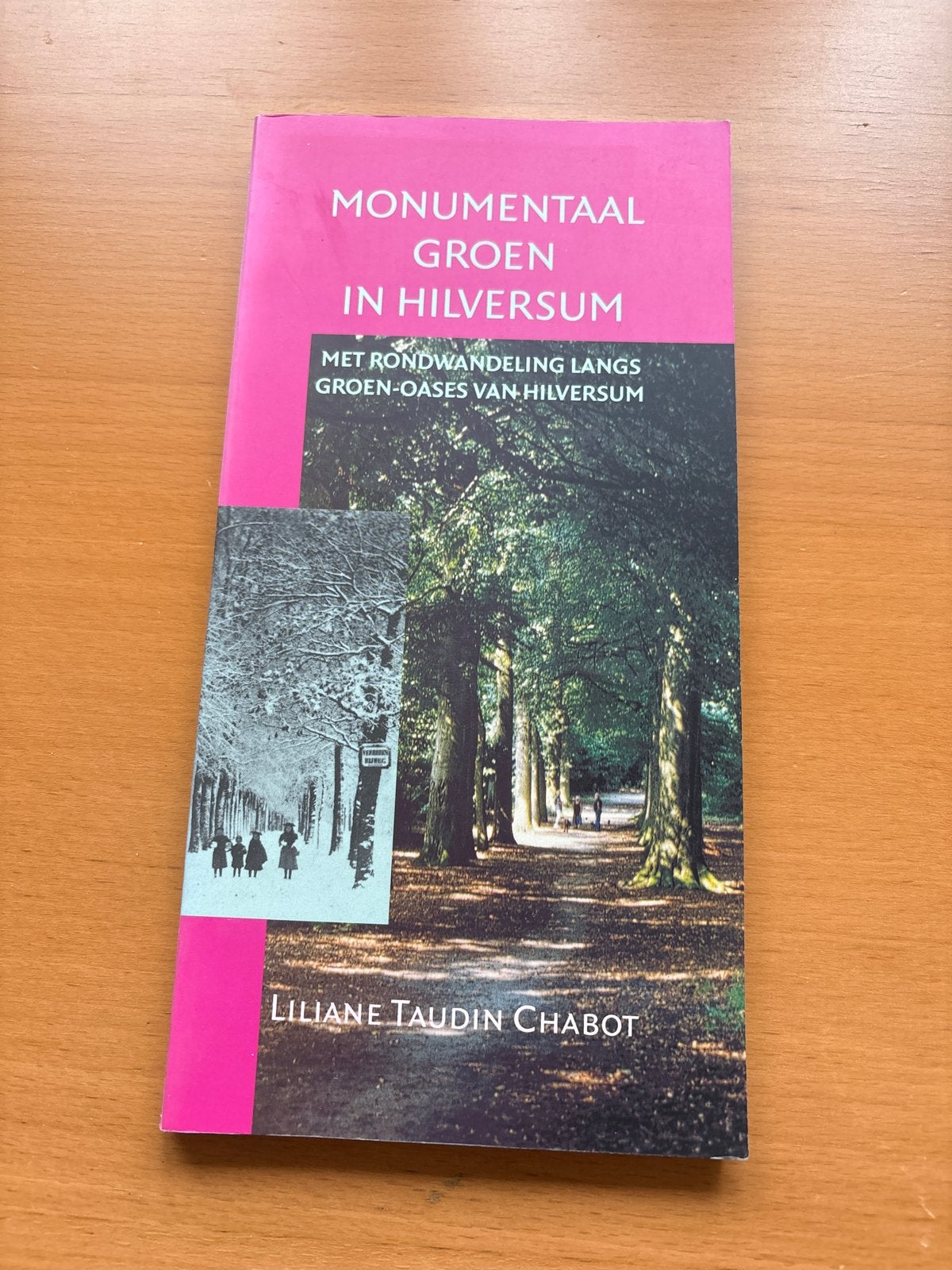 Monumentaal Groen in Hilversum - Wandelgids, Boeken, Ophalen of Verzenden, Gelezen, Overige onderwerpen
