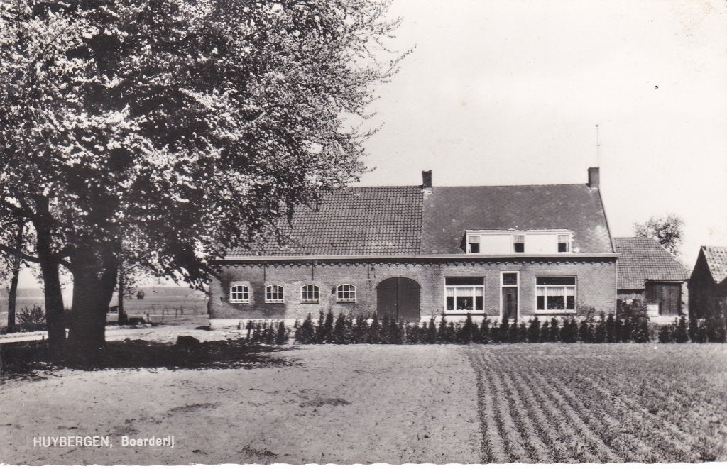 18845 Huybergen Boerderij kaart 1956 Ossendrecht, Verzenden, 1940 tot 1960, Gelopen, Noord-Brabant