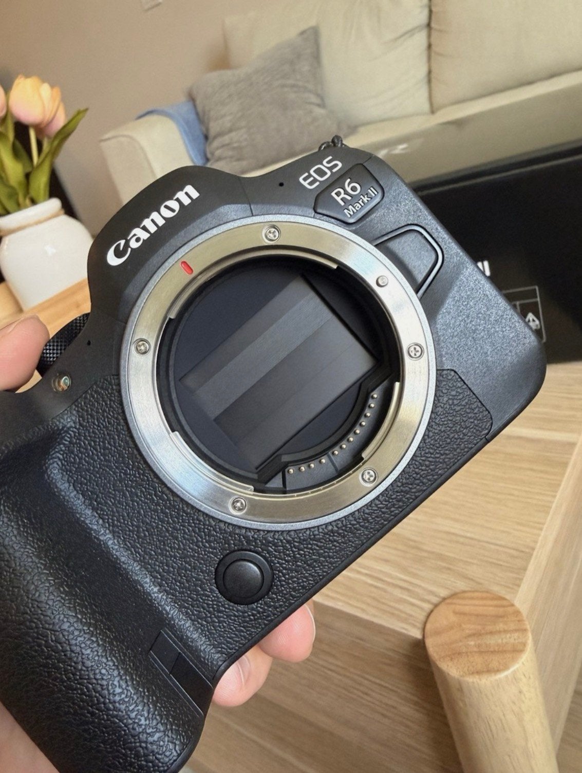 Foto 9 van Canon EOS R6 MARK II