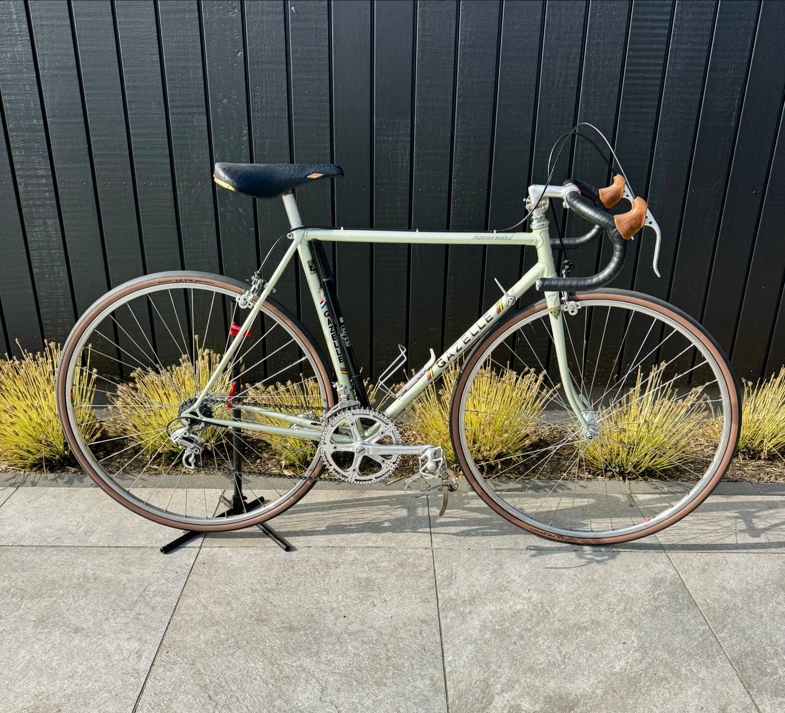 Gazelle Champion Mondial racefiets - origineel groen, mt 54, 28 inch, Gebruikt, Ophalen of Verzenden, Gazelle