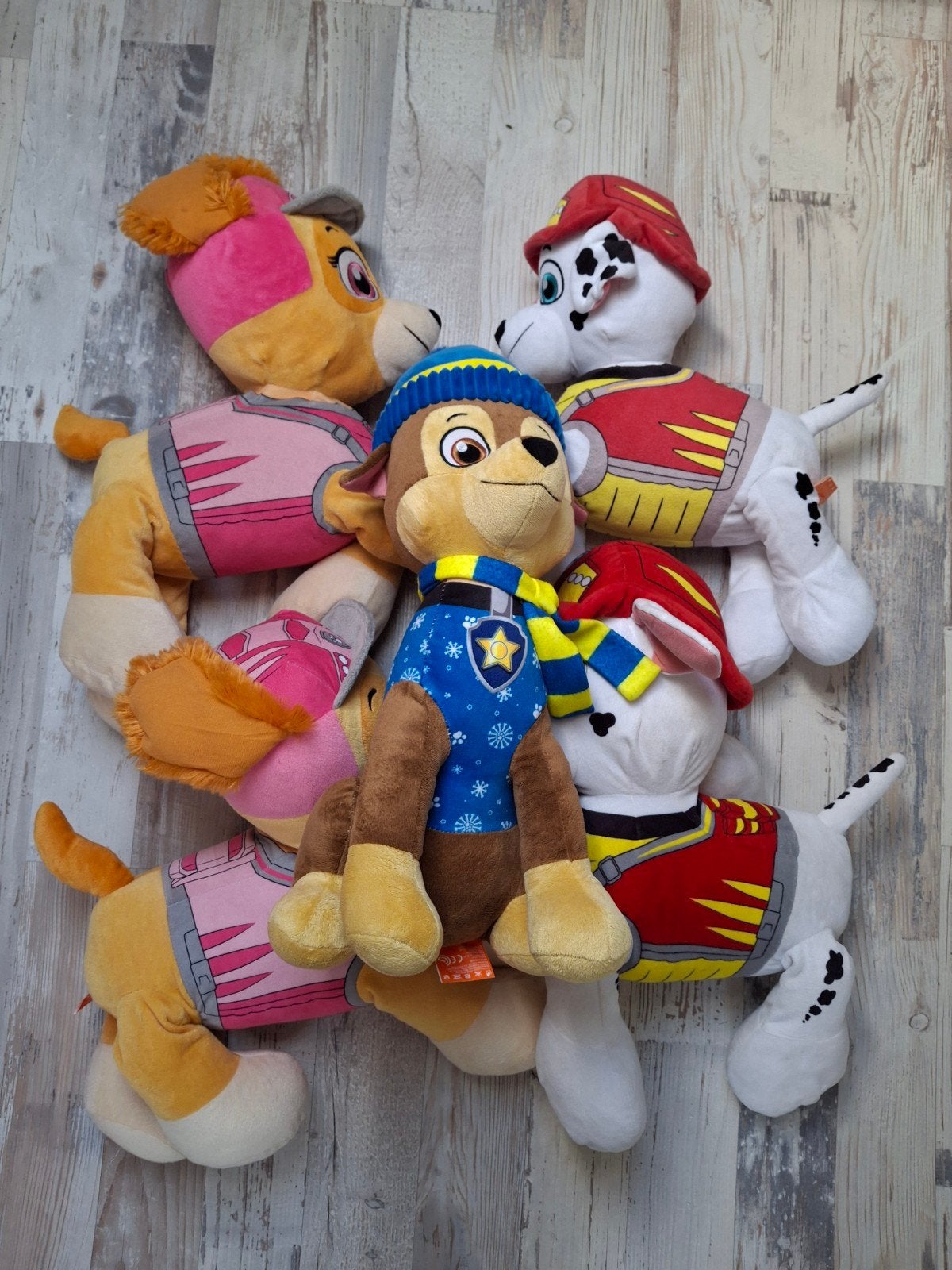 Paw Patrol, Ophalen of Verzenden, Zo goed als nieuw, Hond