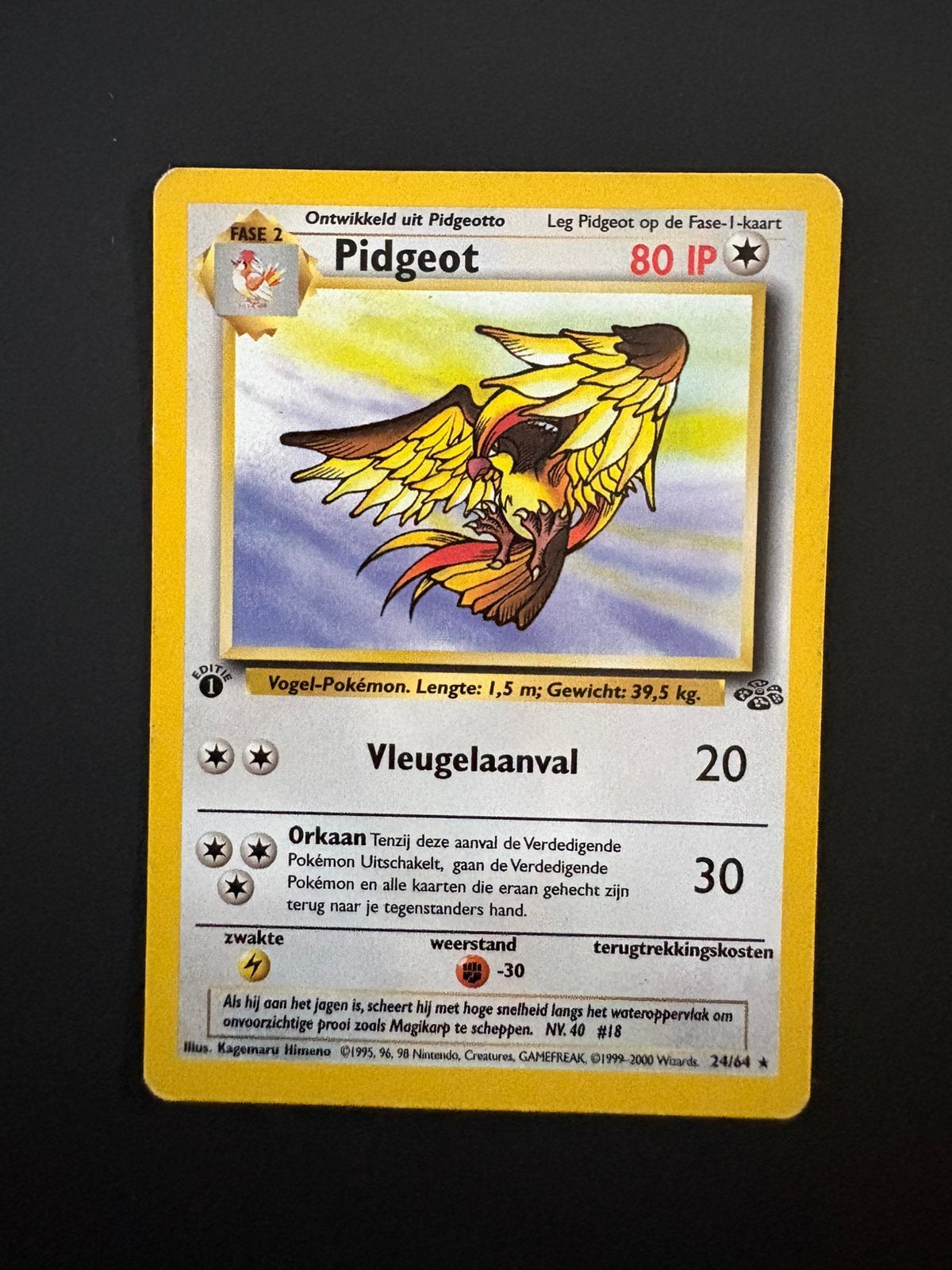 Pidgeot 24/64 Jungle 1st Edition Non Holo Nederlands, Verzenden, Zo goed als nieuw