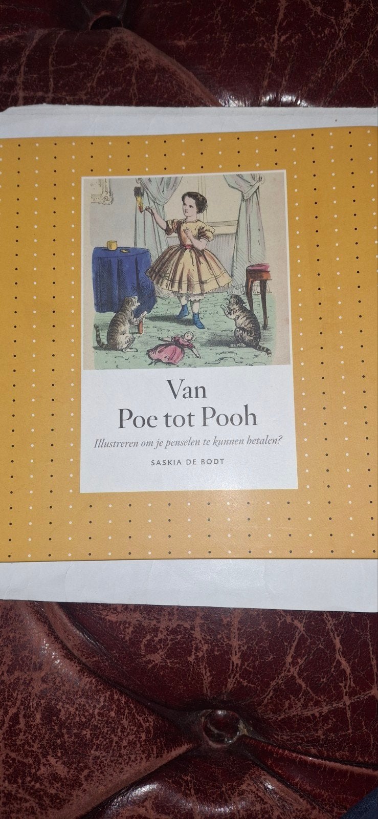 Van Poe tot Pooh:Illustreren om je penselen te kunnen betale, Ophalen of Verzenden, Zo goed als nieuw, Overige onderwerpen, Saskia de Bodt