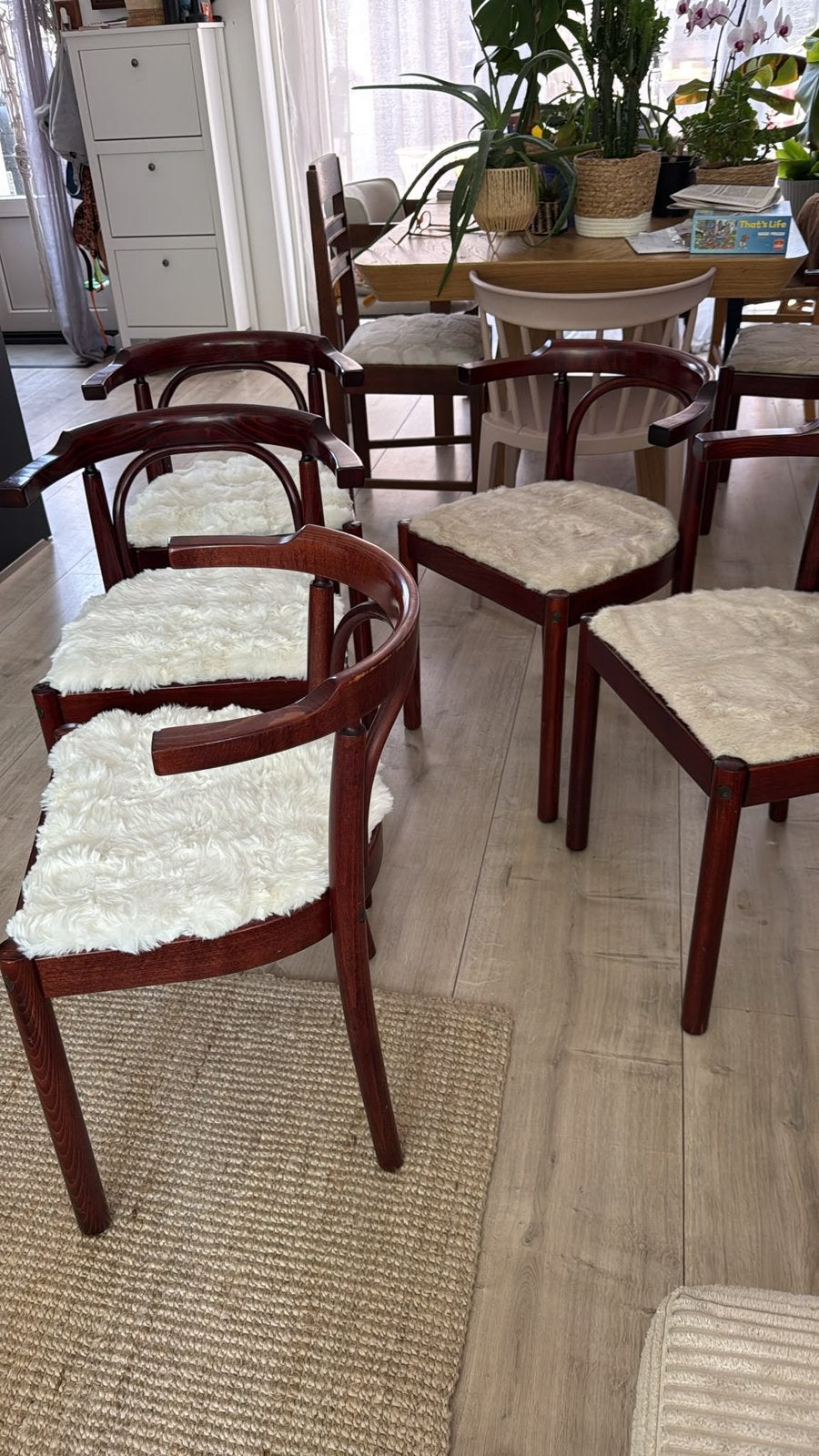 Super gave, Engelse pubstoelen met fluffy zitting, Huis en Inrichting, Ophalen, Zo goed als nieuw