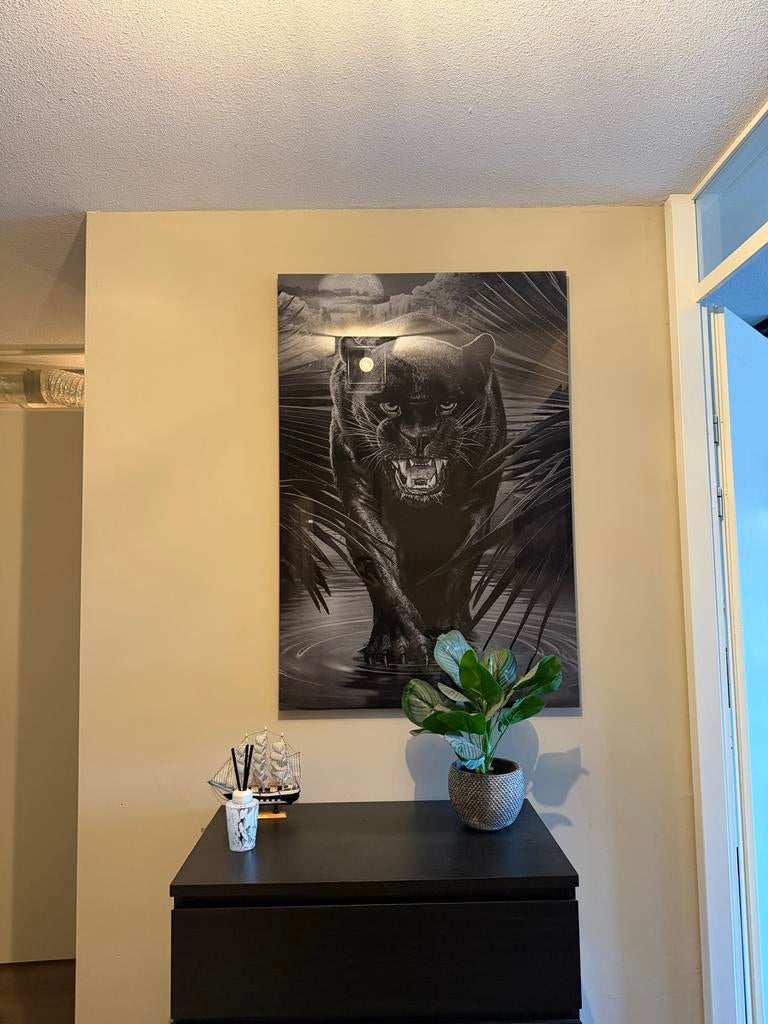 Indrukwekkende Panter Print op Canvas, Ophalen, Gebruikt, 75 tot 100 cm, Foto of Poster