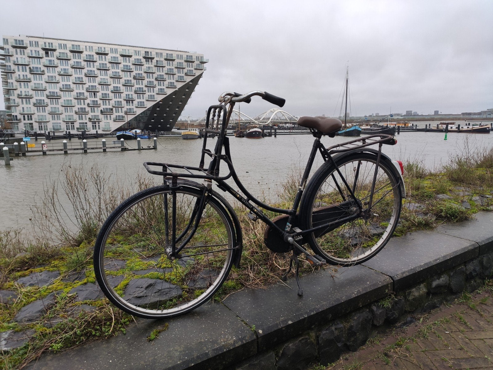 Gazelle transportfiets, Ophalen, Terugtraprem, Gazelle, 53 tot 56 cm