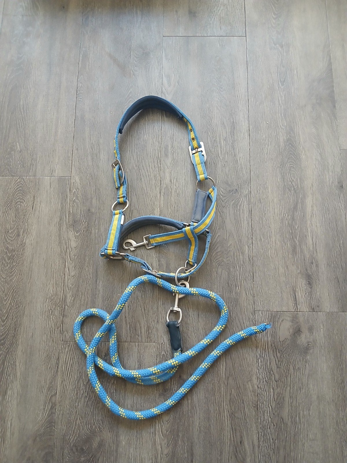halster met touw, Ophalen of Verzenden