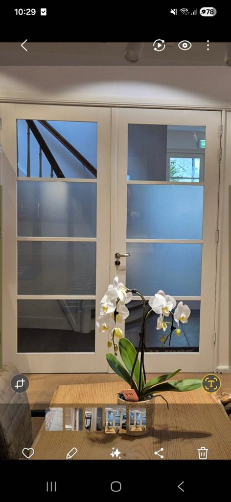 Sets dubbele binnendeuren met glas, Doe-het-zelf en Verbouw, Deuren en Horren, Ophalen, Glas, Binnendeur, 215 cm of meer