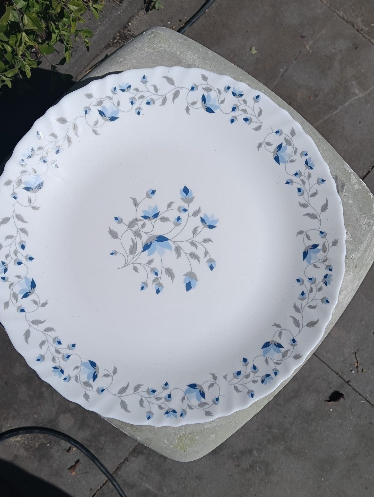 Restpartij Nieuwe Borden met en zonder motief. 11 inch., Ophalen, Nieuw