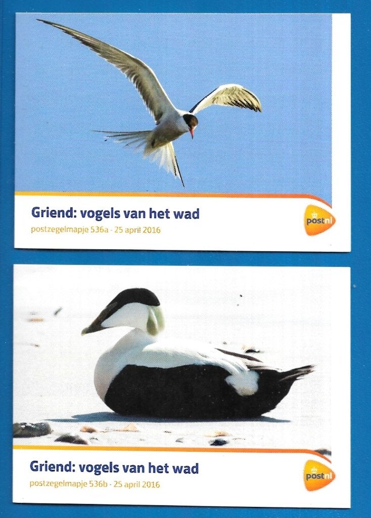 Postzegelmapje 536 A & B - Griend: vogels van het wad, Verzenden, Na 1940, Postfris