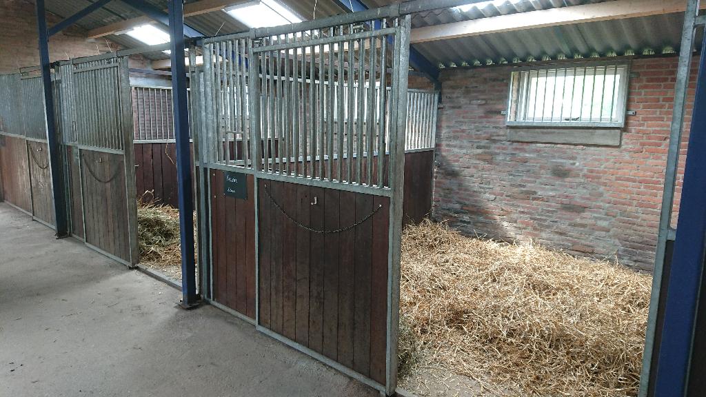 Plaats vrij op kleinschalige stalling nabij Made, Dieren en Toebehoren, Weidegang, 1 paard of pony