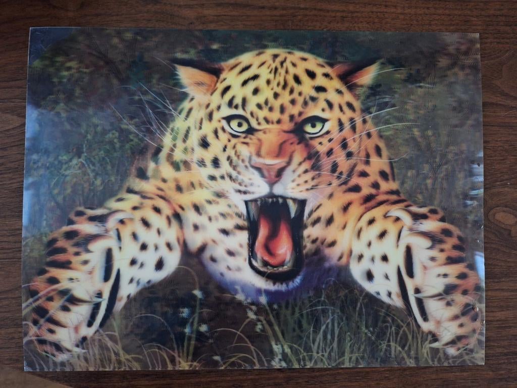 Placemat 3D, Ophalen of Verzenden