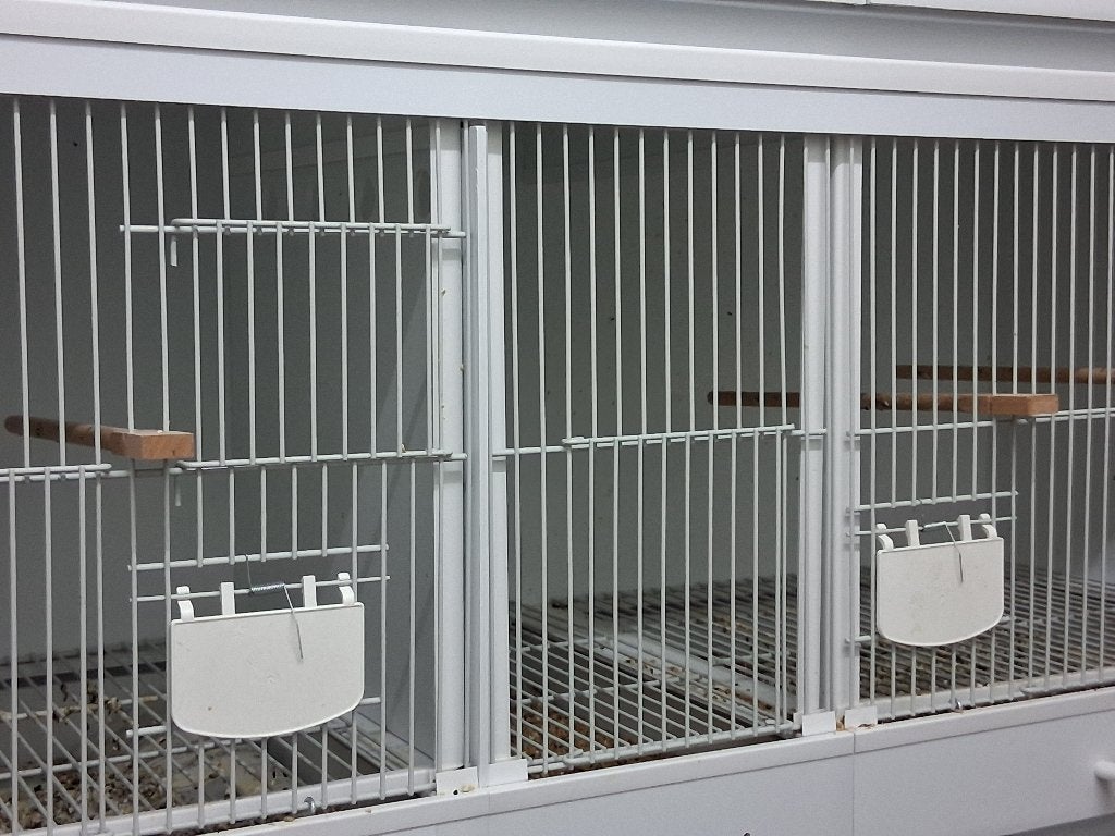 Broed/vluchtkooi kunststof 1 mtr.. Nieuw, overcompleet., Ophalen, Nieuw, Kunststof, Broedkooi of Kweekkooi