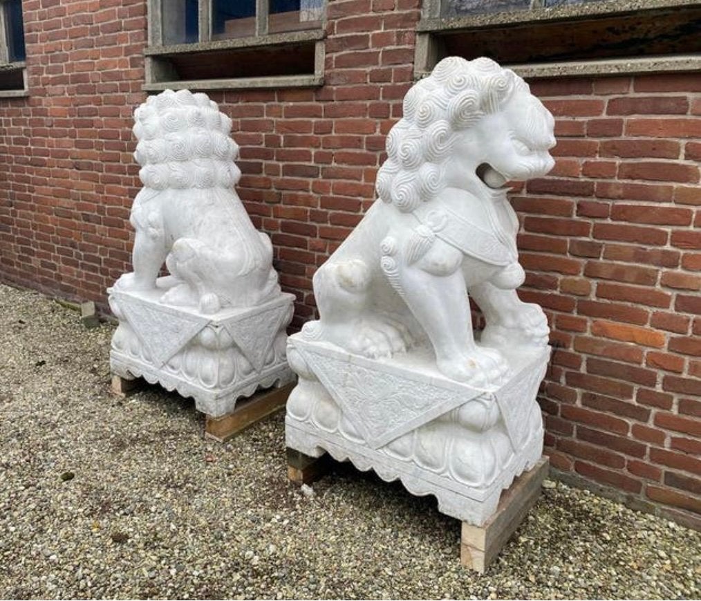 Monumentaal grote Chinees wit marmeren tempel leeuwen!, Ophalen of Verzenden, Brons
