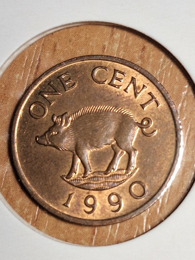 Bermuda 1 Cent 1990 - Koningin Elizabeth II en Wild Zwijn, Ophalen of Verzenden, Losse munt