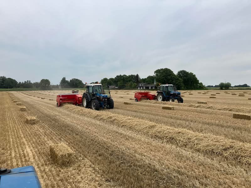 Kleine pakjes tarwe stro, Ophalen, Vee