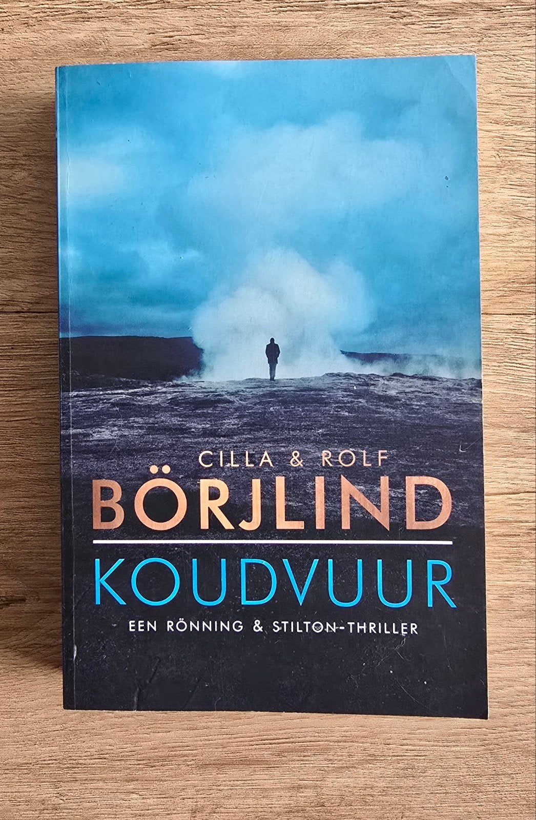 Koudvuur - Cilla & Rolf Börjlind (Rönning & Stilton-thriller, Boeken, Ophalen of Verzenden, Cilla & Rolf Börjlind, Scandinavië