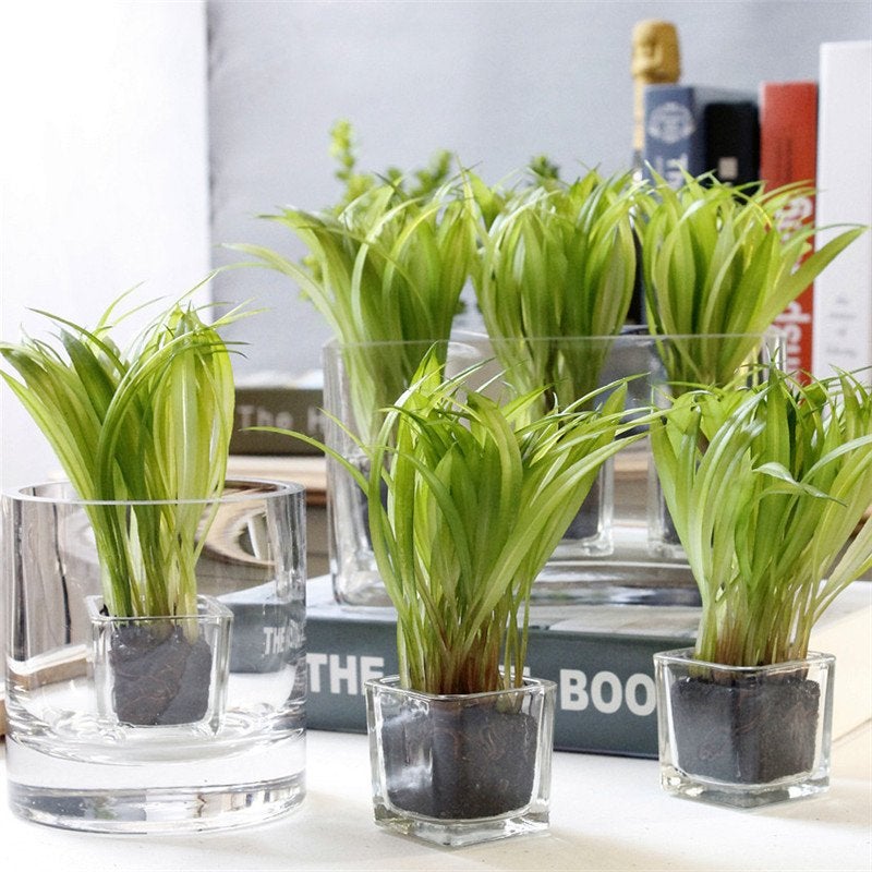 Kunst Mini Bonsai Gras / Sier Kunstplant Nep Vaas Tuin Tarwe, Verzenden, Nieuw, Kunstplant