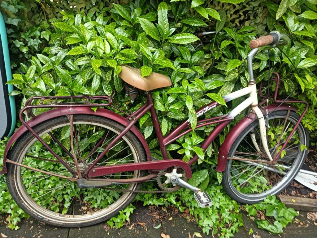 Johnny Loco fiets, Ophalen, Gebruikt, Overige merken