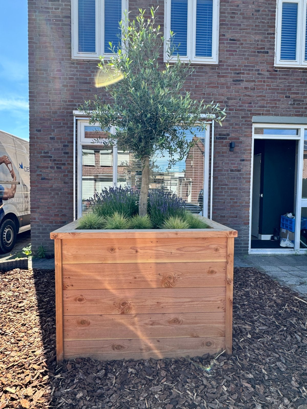 Exclusieve plantenbak met olijfboom | All-in geleverd, Tuin en Terras, Bloembakken en Plantenbakken, Ophalen, 100 cm of meer, Vierkant