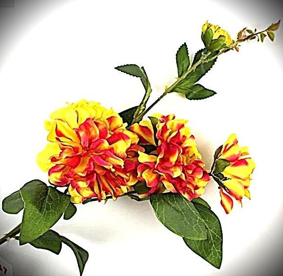 DAHLIA - KUNST - GEEL ROOD, Ophalen of Verzenden, Nieuw