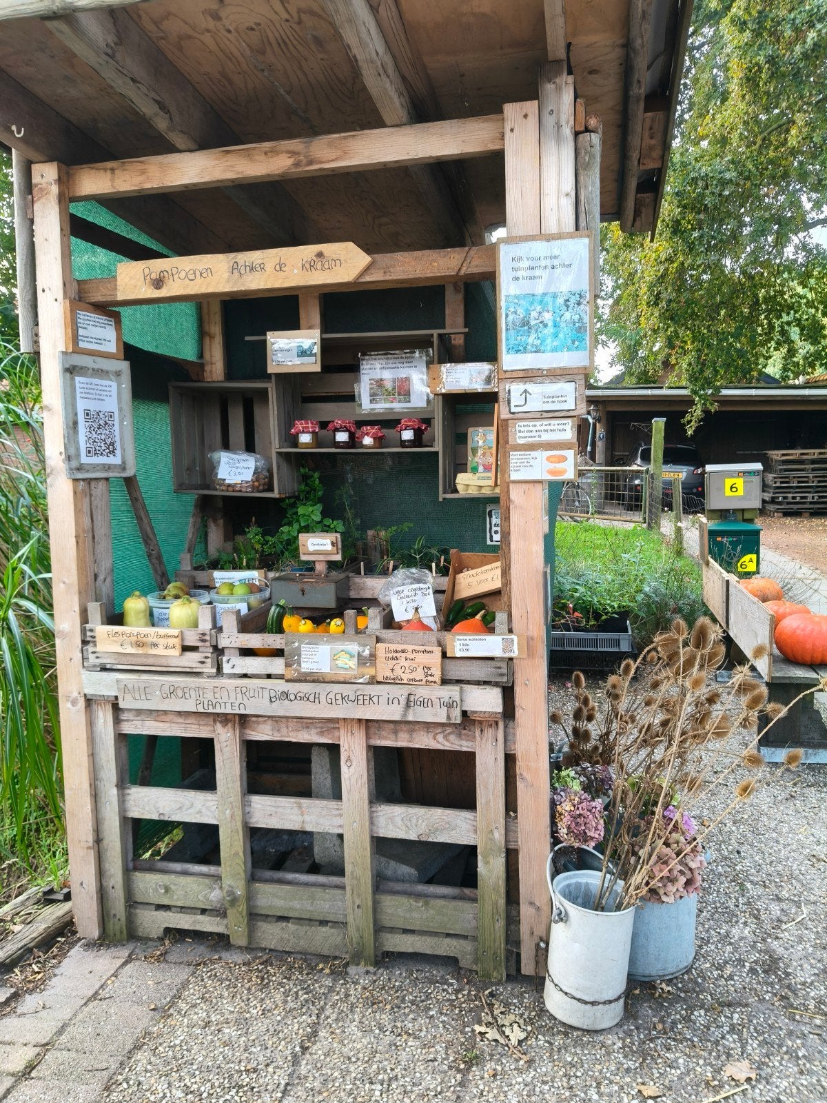 Onze kraam met eetbare pompoen, jam kaarsen, planten, eieren, Ophalen of Verzenden