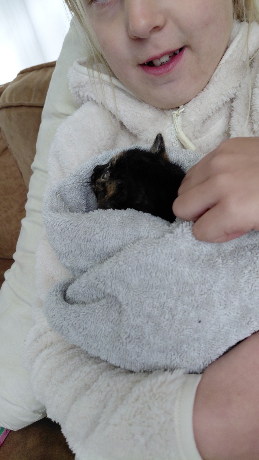 schildpad kleur- boerderijkittens te koop., Poes