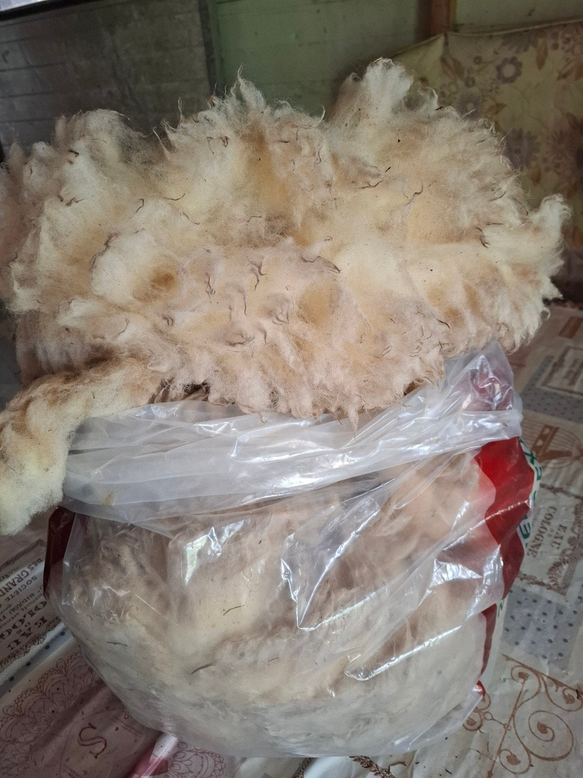 Grote zak  ruwe wol Kerry Hill schaap,  voor spinnen, Ophalen of Verzenden, Nieuw, Spinwol