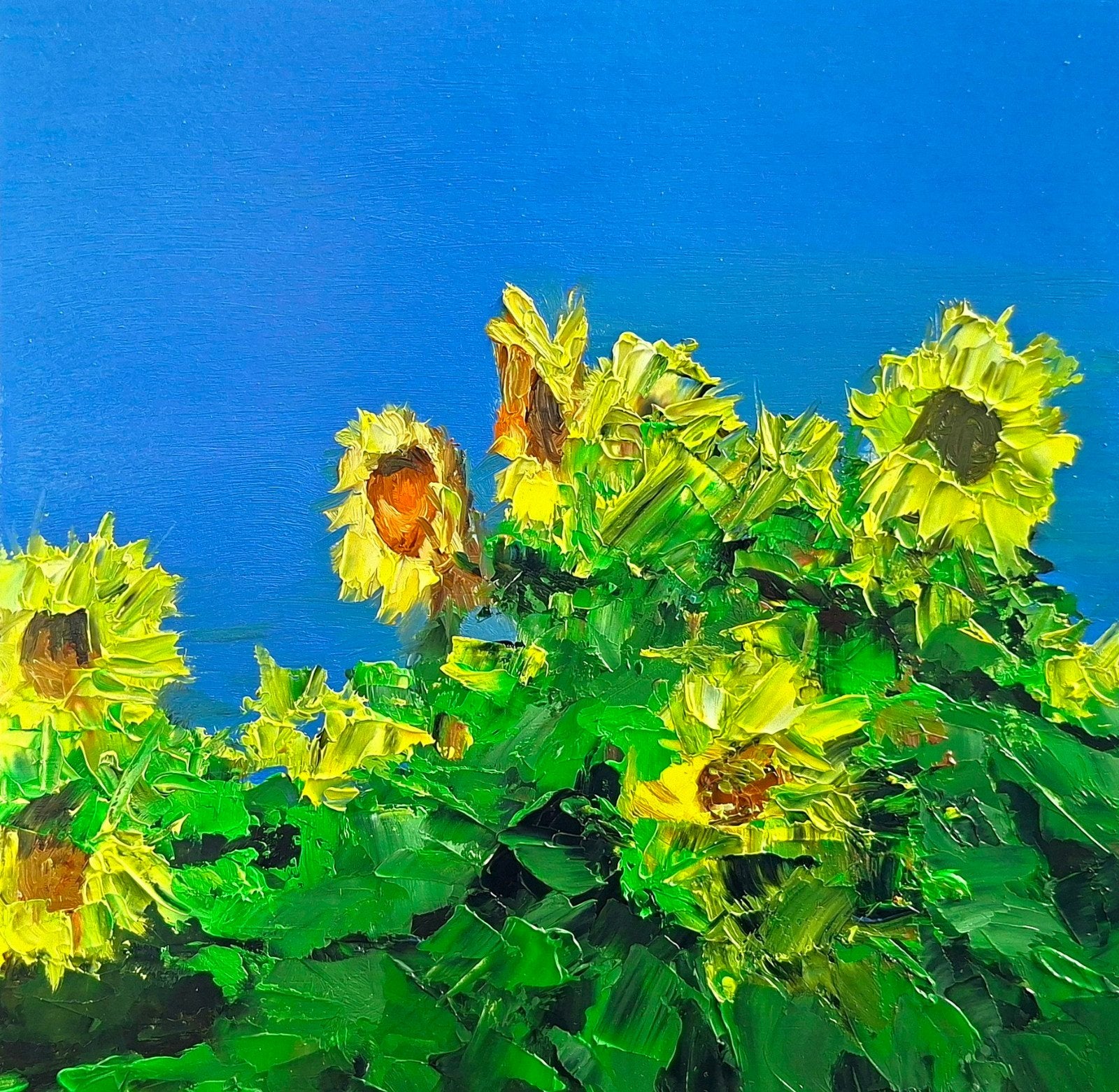 Schilderij zonnebloem abstract olieverf 20x20cms, Ophalen of Verzenden