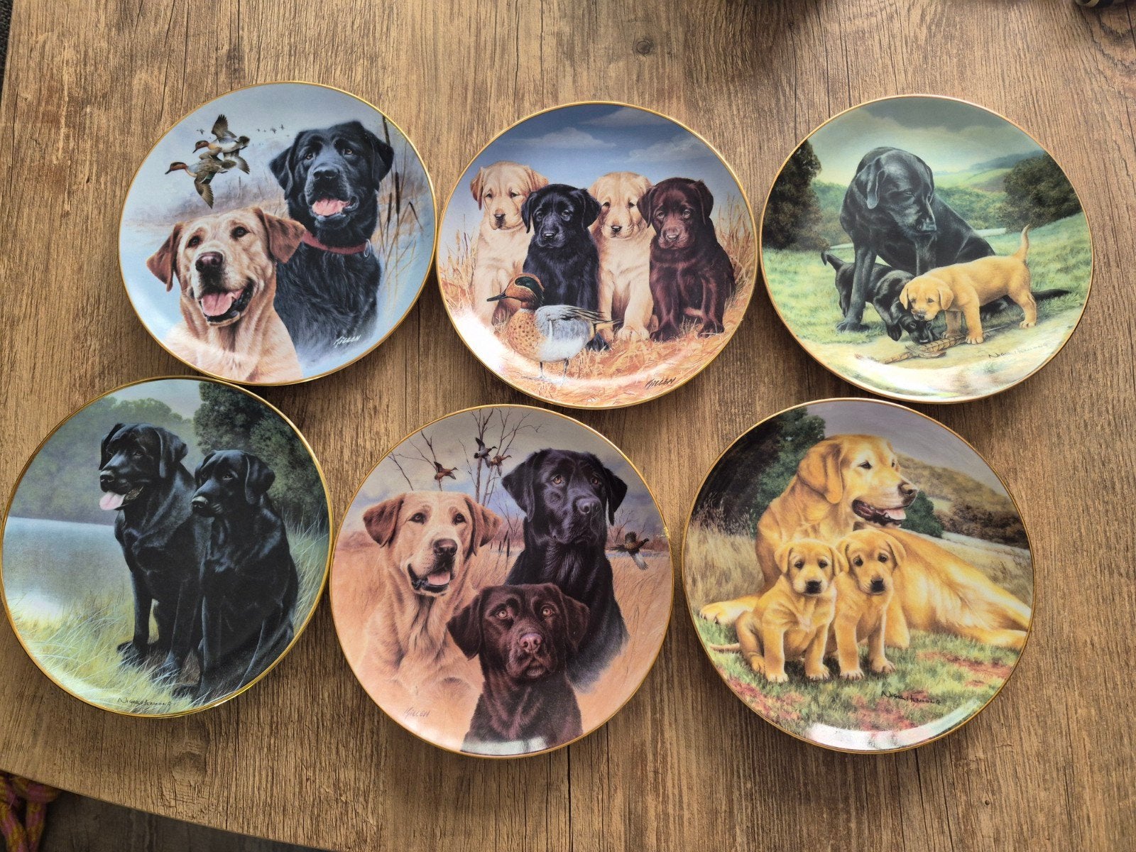 Set van 6 decoratieve borden met Labrador honden, Ophalen of Verzenden