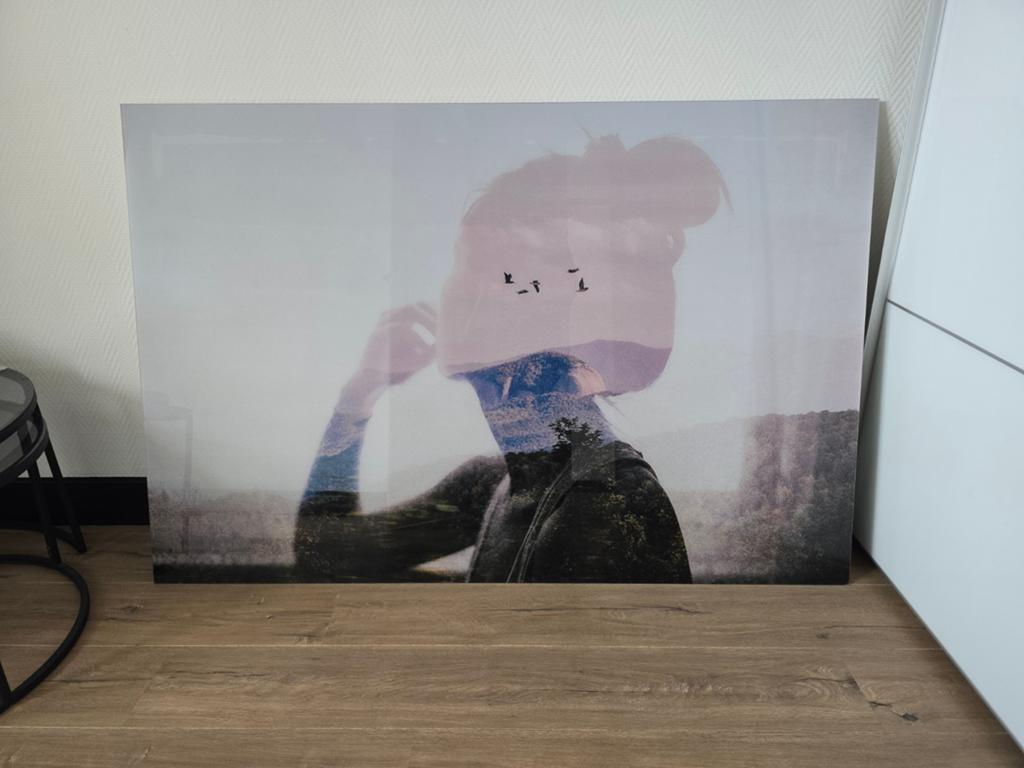 Modern kunstwerk: Vrouw met landschap en vogels op Acryl, Antiek en Kunst, Kunst | Schilderijen | Modern, Ophalen