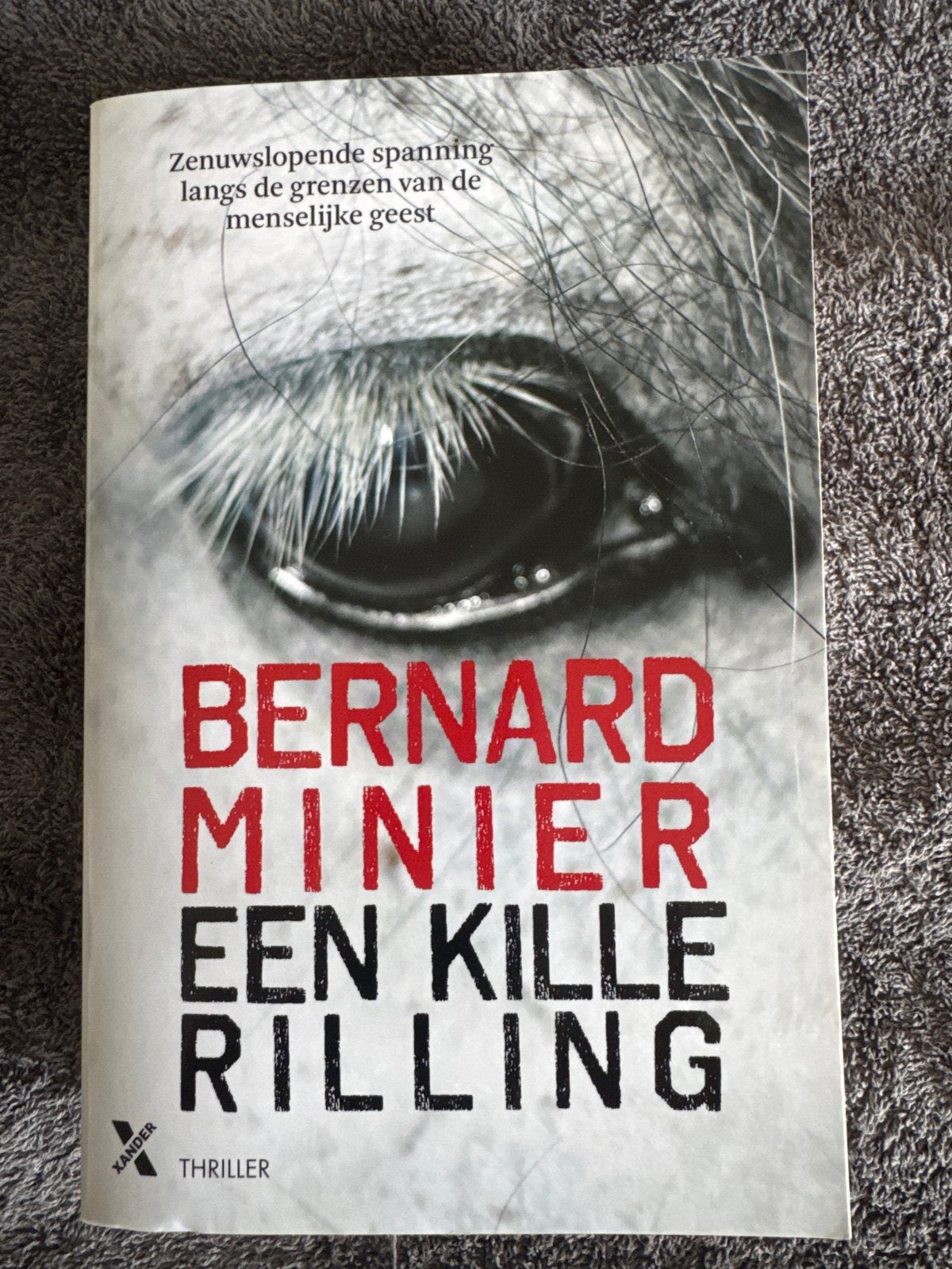 Bernard Minier - Een Kille Rilling (Thriller), Boeken, Ophalen, Zo goed als nieuw, Europa overig
