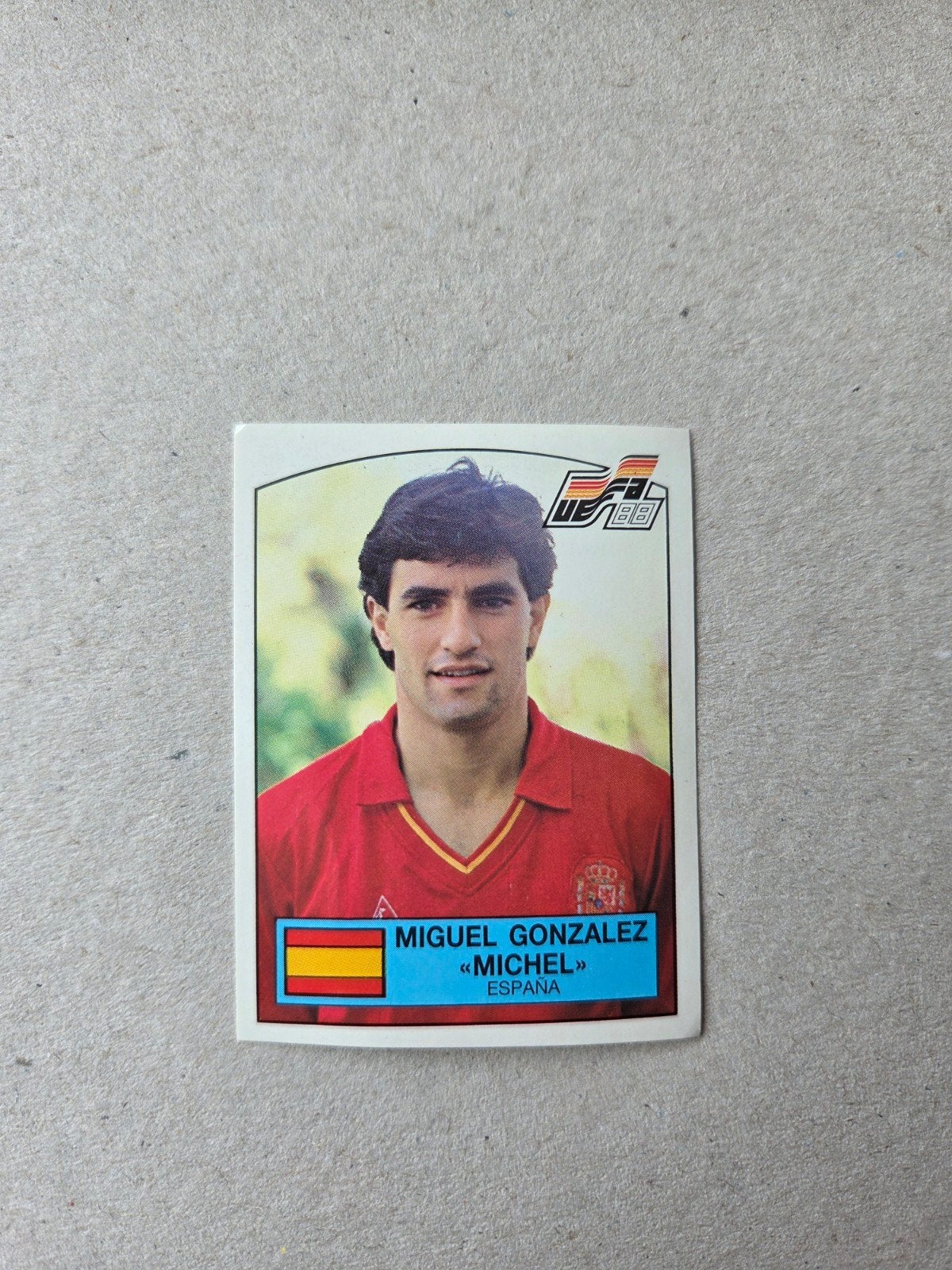 Panini EK 88, Ophalen of Verzenden, Zo goed als nieuw, Sticker