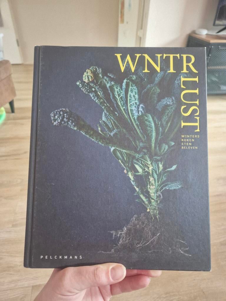 Kookboek | Winterlust, Ophalen of Verzenden, Zo goed als nieuw, Debby De Mangelaere; Wout Hendrickx