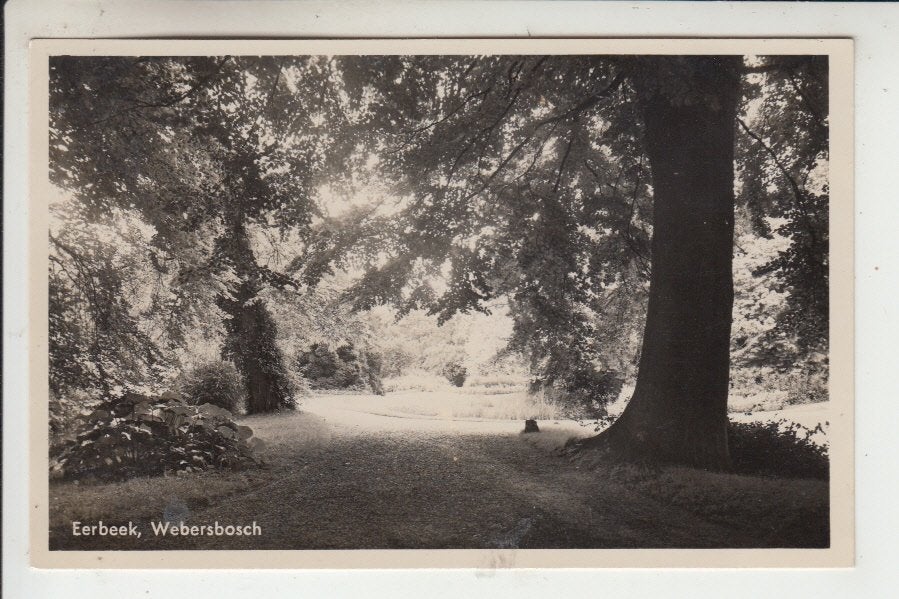 Eerbeek, Weberbosch, Ophalen of Verzenden, 1940 tot 1960, Gelopen, Gelderland