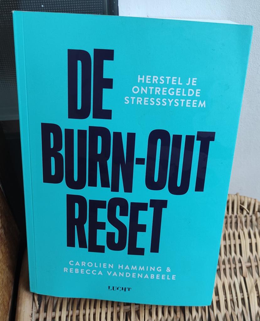 De burn-out reset - Hamming en Vandenabeele, Boeken, Ophalen of Verzenden, Zo goed als nieuw