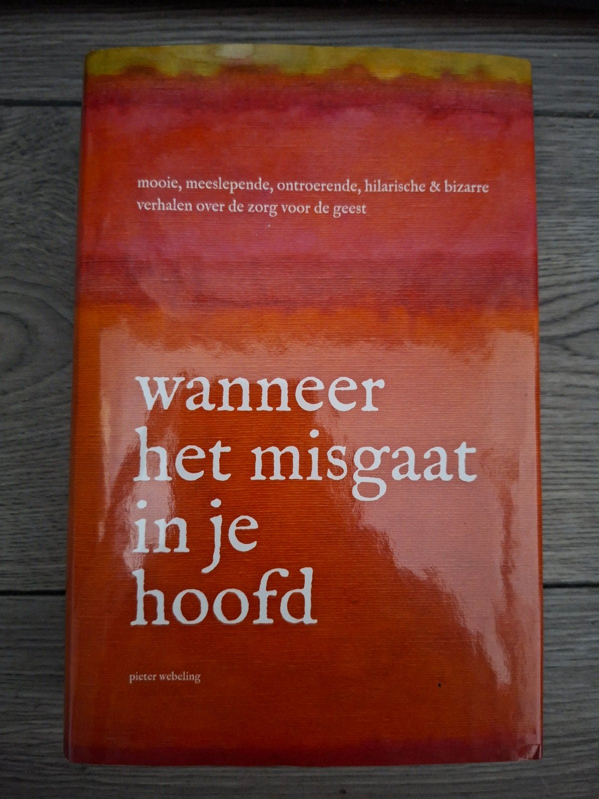Wanneer het misgaat in je hoofd - Pieter Webeling, Boeken, Ophalen of Verzenden, Zo goed als nieuw, Pieter Webeling