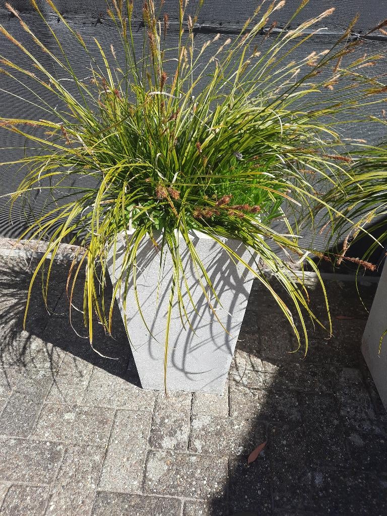 Set nieuwe bloempotten. Capi Europe., Tuin en Terras, Bloempotten, 25 tot 40 cm, Vierkant, Nieuw, Ophalen of Verzenden