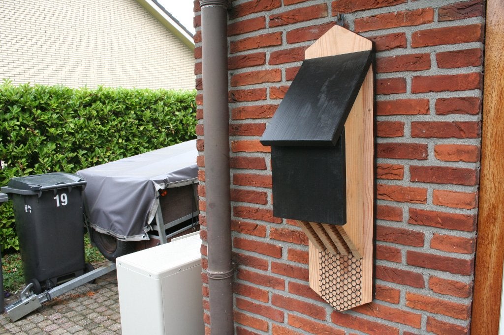 vleermuizenkast, Ophalen of Verzenden