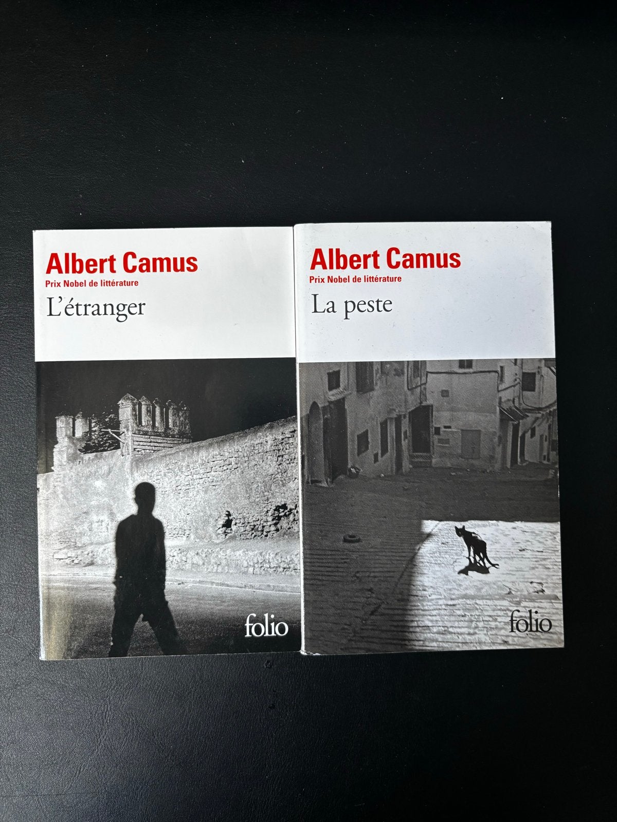 Albert Camus: L'Étranger & La Peste (Folio), Ophalen of Verzenden, Zo goed als nieuw, Europa overig