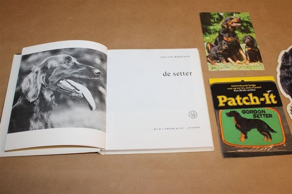 De Setter — Rasmonografie, Iers en Engels 1974, Ophalen of Verzenden, Gelezen, Honden