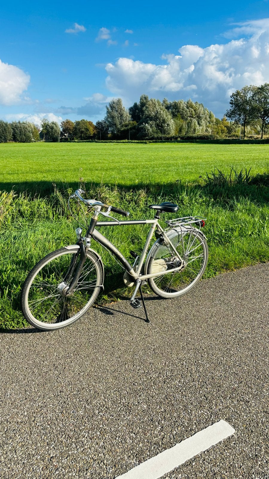 batavus crescendo mens, Fietsen en Brommers, Ophalen, Velgrem, Versnellingen, Batavus