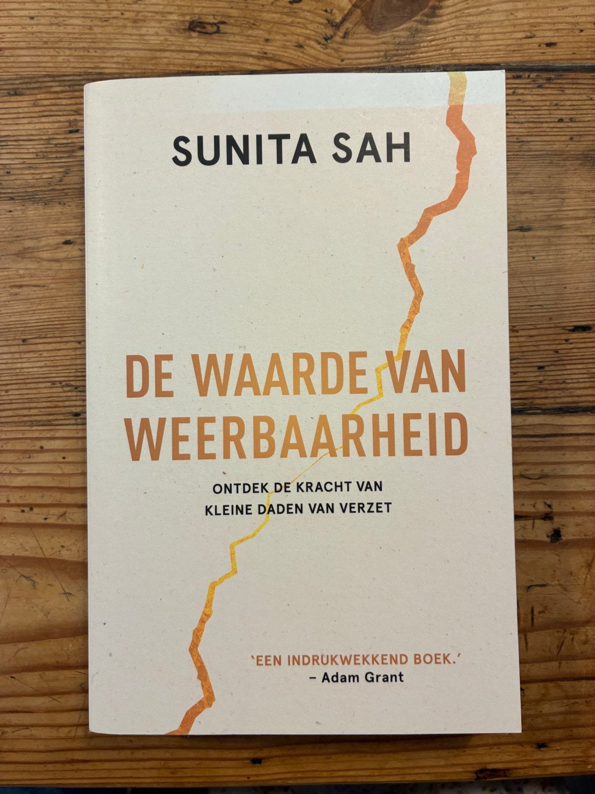 Sunita Sah - De waarde van weerbaarheid, Ophalen of Verzenden, Zo goed als nieuw, Sunita Sah