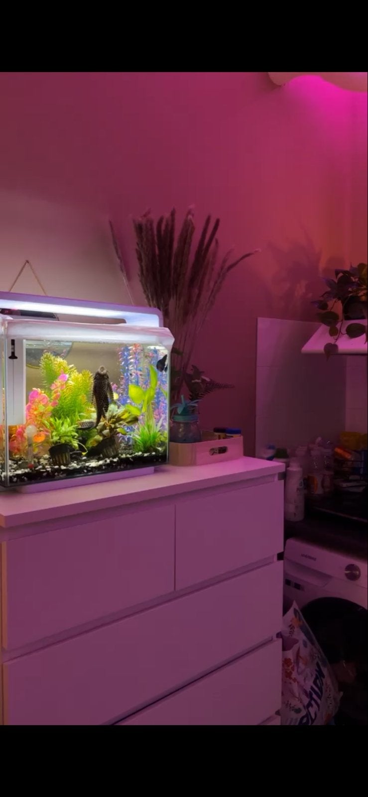 Aquarium - 45L, Dieren en Toebehoren, Vissen | Aquaria en Toebehoren, Ophalen of Verzenden, Leeg aquarium