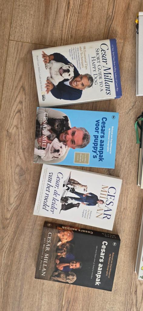 Cesar Millan Hondenboeken - 4-delige collectie, Boeken, Dieren en Huisdieren, Ophalen of Verzenden, Gelezen, Honden