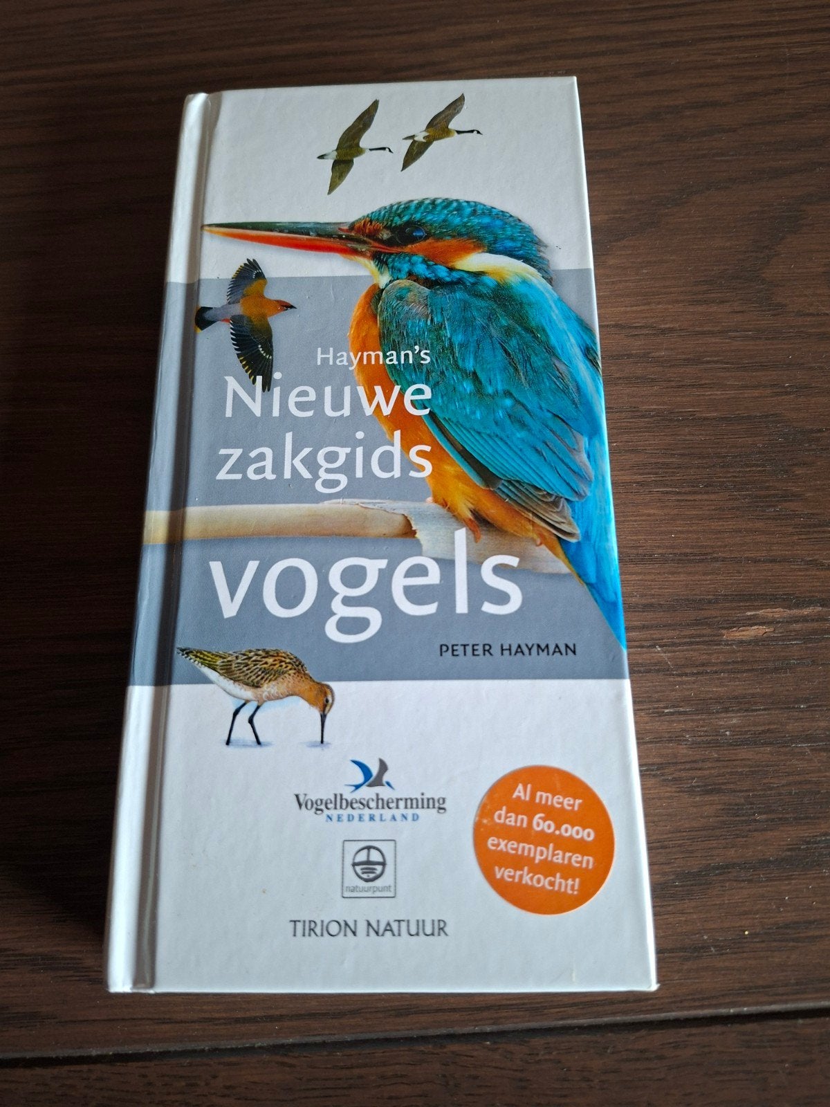 Hayman's Nieuwe Zakgids Vogels - Vogelgids Natuurgids, Boeken, Ophalen of Verzenden, Gelezen, Vogels, Peter Hayman