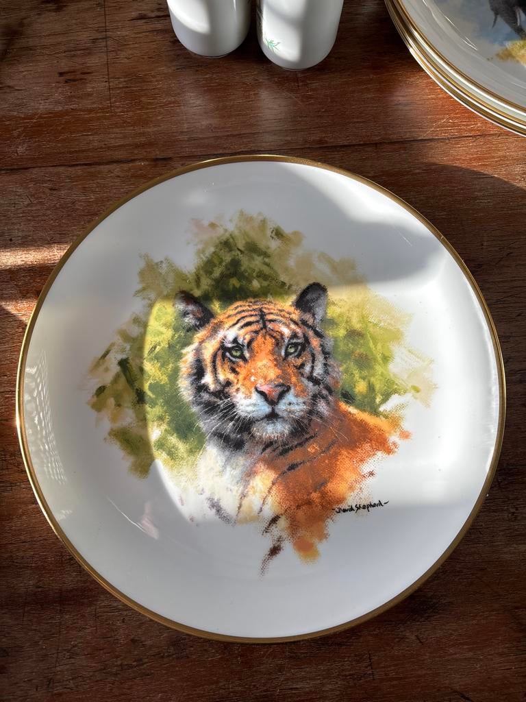 Wedgwood David Shepherd Wildlife Collection - Tijger, Ophalen of Verzenden